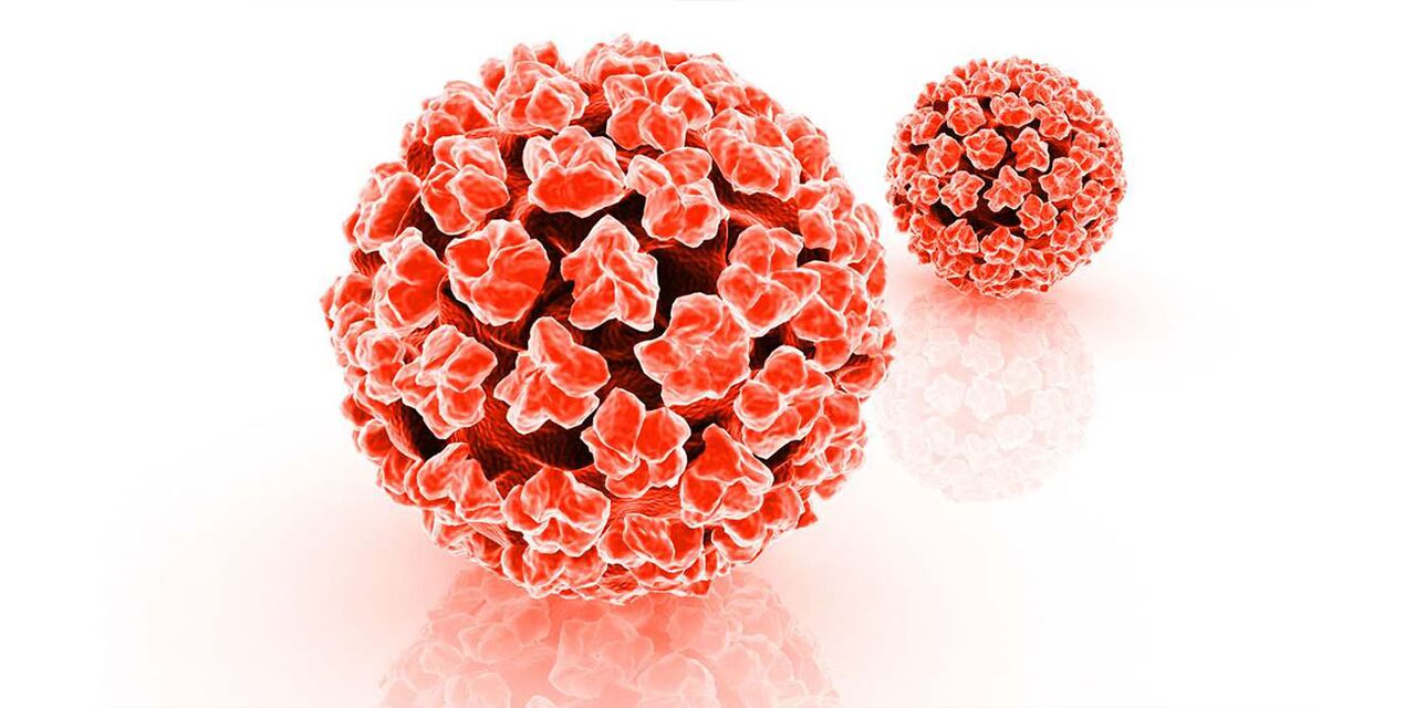 Het gevaar van het humaan papillomavirus