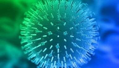 infectieroutes met het humaan papillomavirus