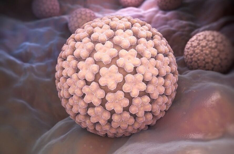 humaan papillomavirus dat wratten veroorzaakt